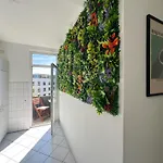 アパート Pakito Zentrum - 3 - Balkon - Lage - Parkplatz カッセル