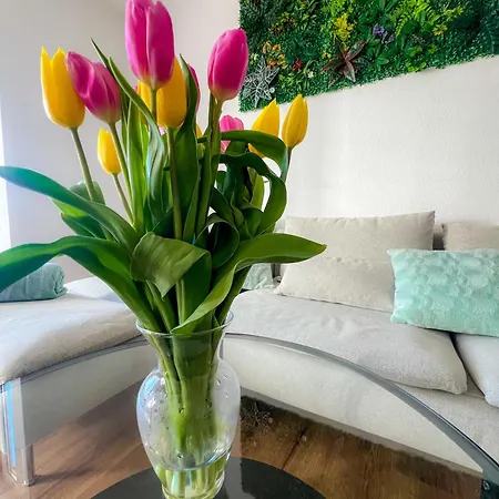 Apartament Pakito Zentrum - 3 - Balkon - Lage - Parkplatz